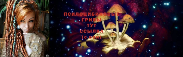 прущие крисы Куйбышев