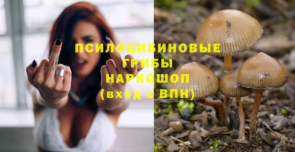 трава Кулебаки
