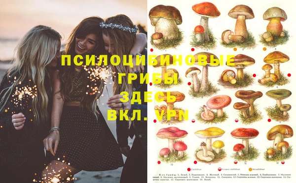 прущие крисы Куйбышев