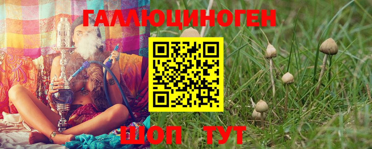 Псилоцибиновые грибы Magic Shrooms  Галлюциногенные грибы Psilocybine cubensis  Вход с VPN  Тейково 
