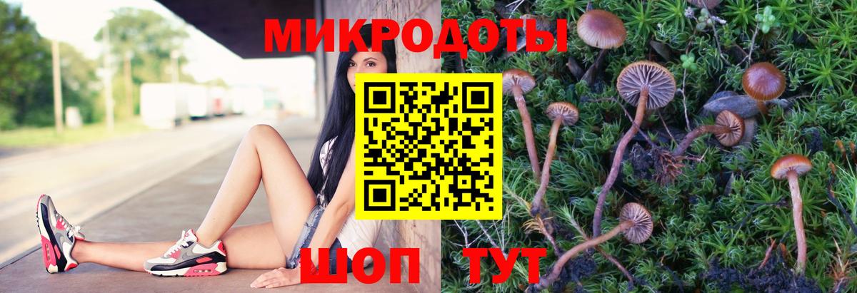 Псилоцибиновые грибы прущие грибы Тейково