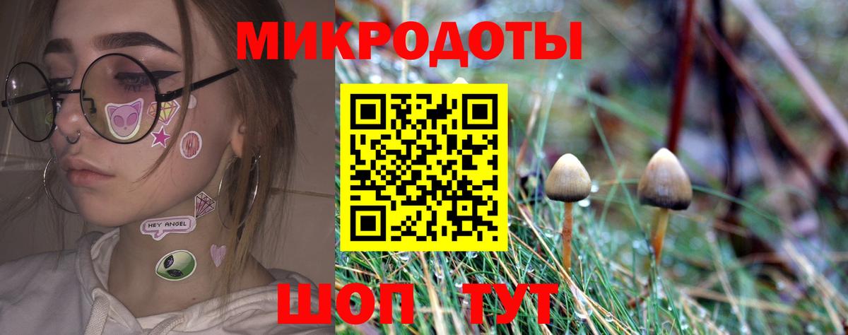 Псилоцибиновые грибы MAGIC MUSHROOMS  Тейково 
