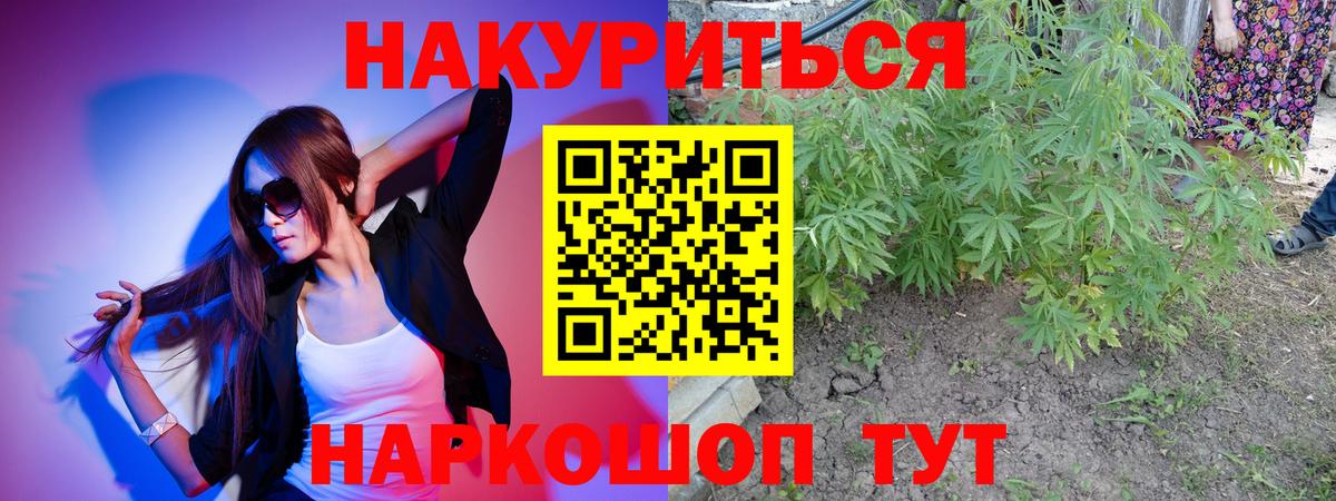 Бошки Шишки сатива Тейково